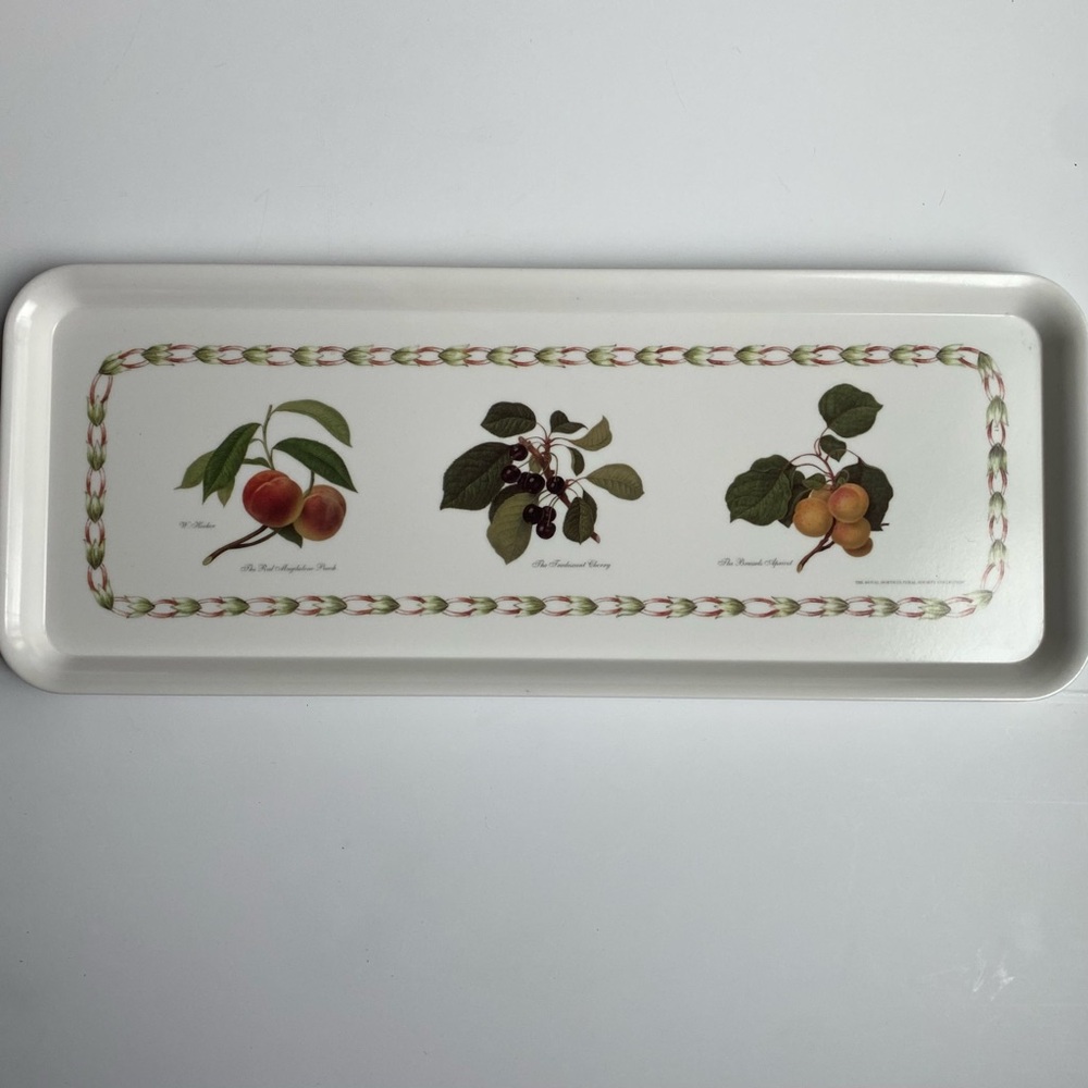 Melamaster Tray England William Hooker Botanist Artist 15” Fruit Trees Vintage